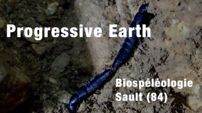 Progressive Earth